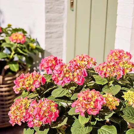 Watthüs Mit Kamin Und Traumhaftem Garten Ferienhaus Morsum (Sylt)