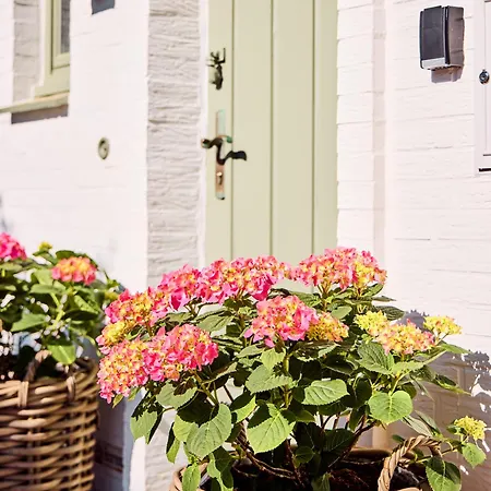 Дом отдыха Watthues Mit Kamin Und Traumhaftem Garten *