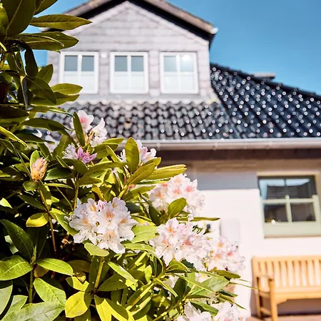 Watthüs Mit Kamin Und Traumhaftem Garten Ferienhaus *