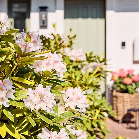 Watthüs Mit Kamin Und Traumhaftem Garten Ferienhaus *
