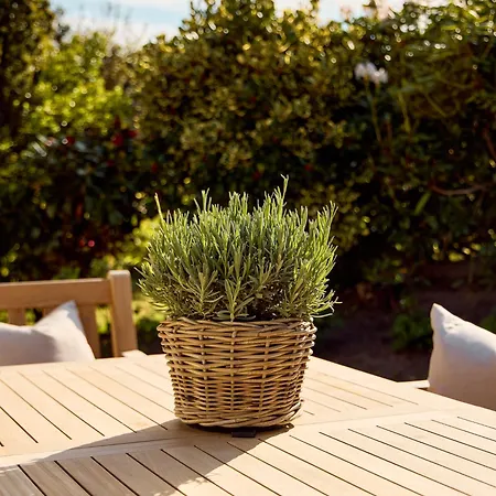 Watthus Mit Kamin Und Traumhaftem Garten Ferienhaus